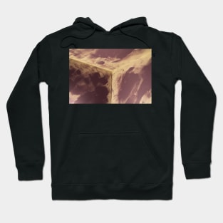 Cornered 2 Hoodie